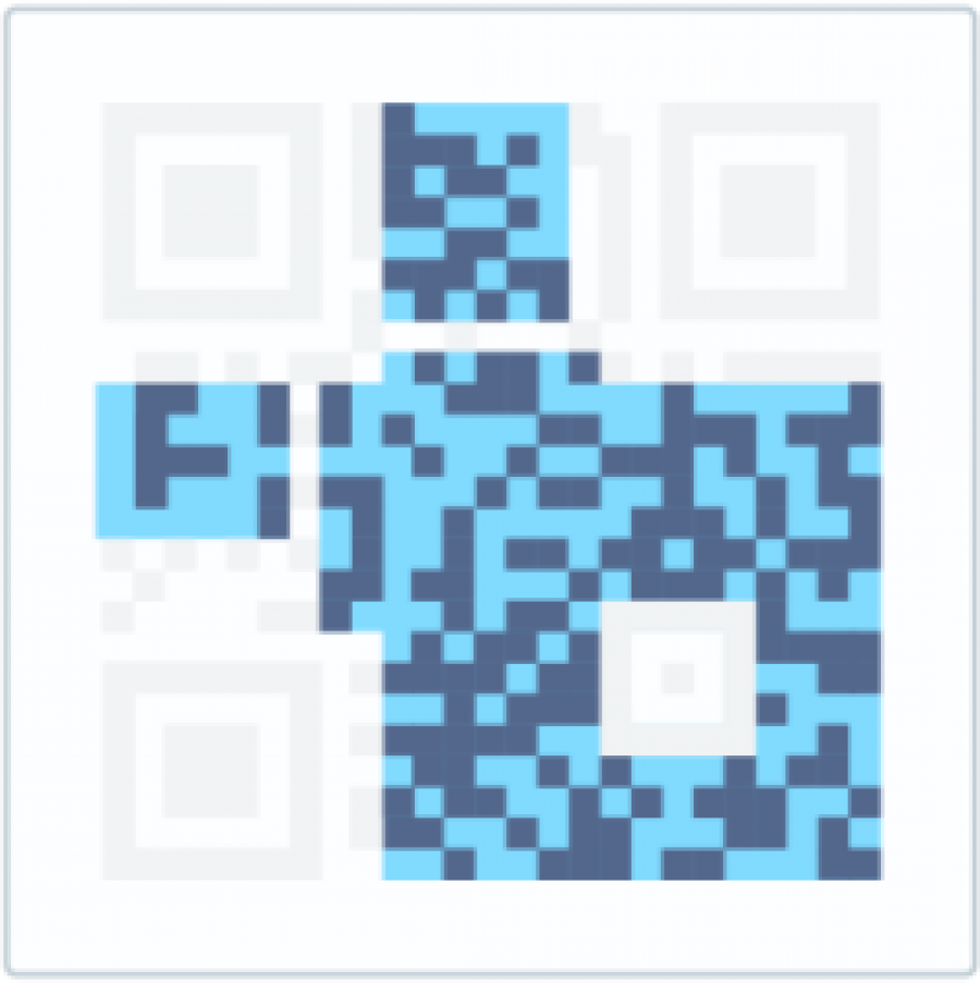 Cum stocheaza informatii un QR code?