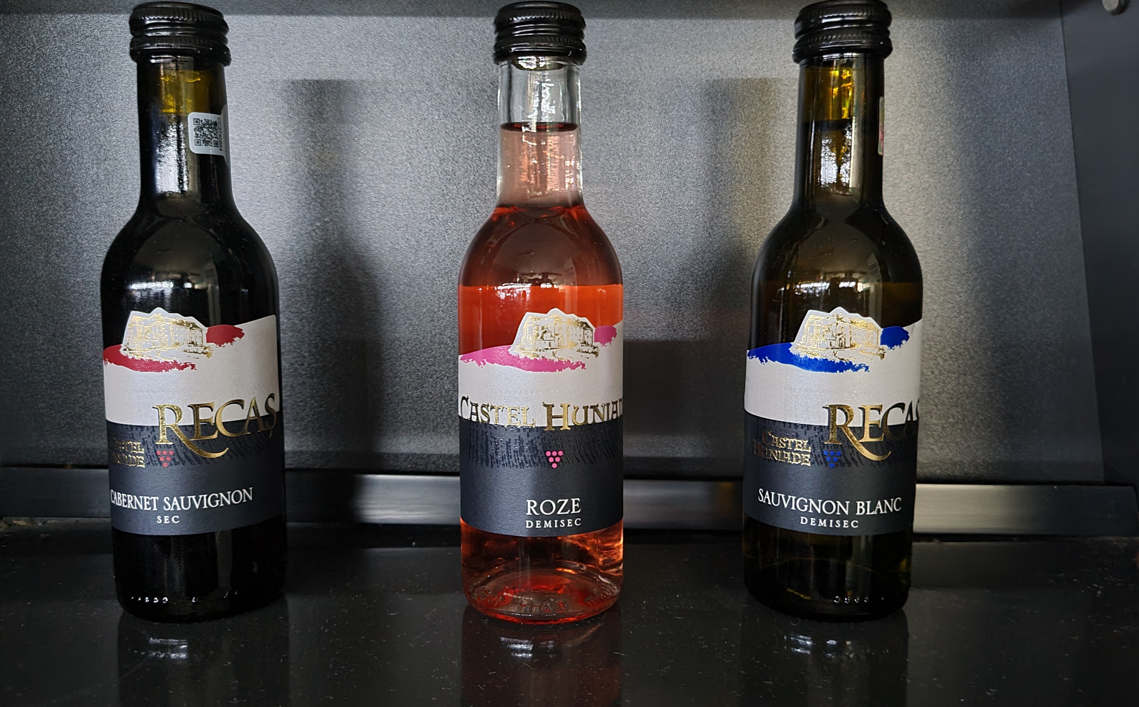 Recaș Castel Huniade